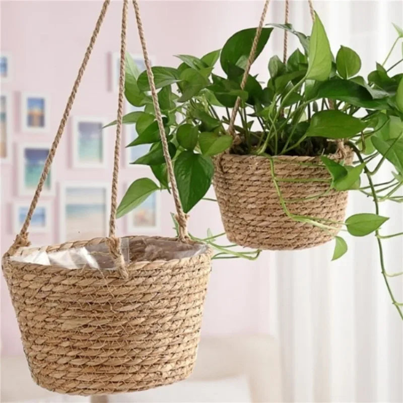 Macrame Plant Hanger
