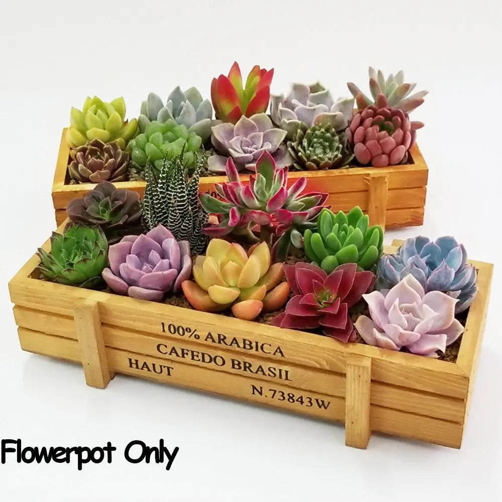 Vintage Wooden Flower Trough Planter